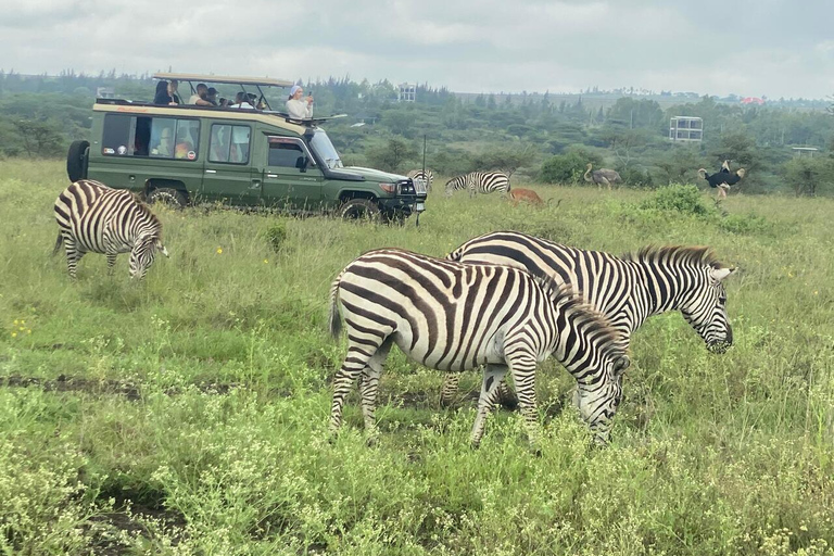 Nairobi: National Park Half-Day Safari with Hotel Pick-Up