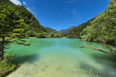 From Bled: Kranjska Gora Guided E-Bike Tour