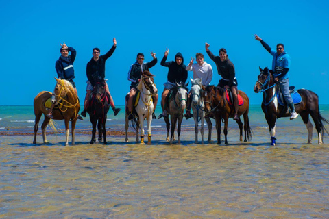 Sahl Hasheesh: Desert & Sea Horse Ride with Transfers
