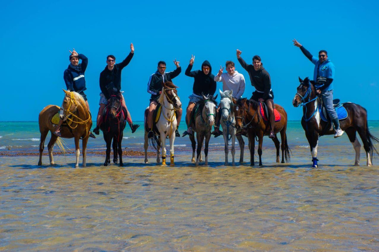 Sahl Hasheesh: Desert & Sea Horse Ride with Transfers