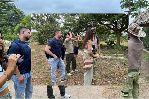 Palomino: Guided Birdwatching Tour with Hotel Pickup