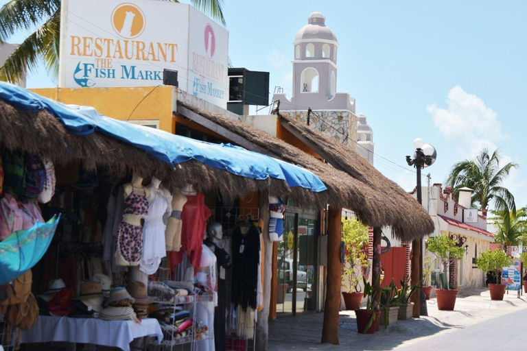 Puerto Morelos: Snorkel in Coral Reef with transportation Tour from Tulum