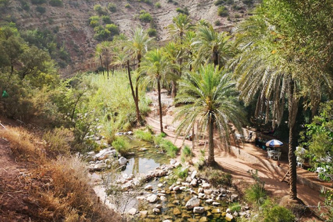 Agadir: Paradise Valley & Desert Sand Dunes With Camel Ride Paradise Valley & Desert Sand Dunes With Camel Ride