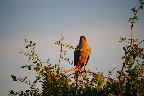 3 Days, 2 nights safari to Samburu National Reserve 3 Days private safari in a 4x4 Landcruiser jeep
