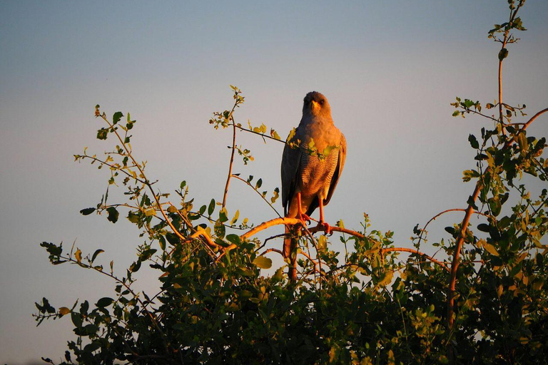 3 Days, 2 nights safari to Samburu National Reserve 3 Days private safari in a 4x4 Landcruiser jeep