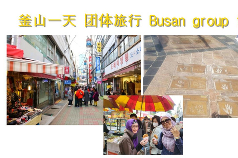 Busan: Kleingruppentour für Kreuzfahrtschiffpassagiere[kleine Gruppe] Englischsprachiger Reiseleiter