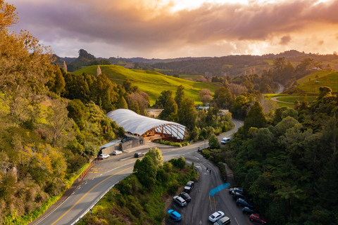 De Auckland: Excursão de um dia a Waitomo Glowworm e Ruakuri Caves