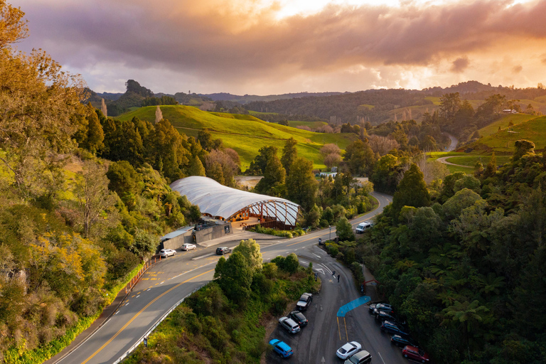 From Auckland: Waitomo Cave and Orakei Korako Group Day Tour