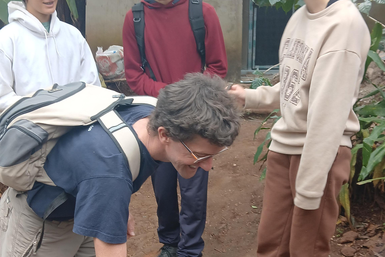 莫西：马特鲁尼瀑布、咖啡之旅与传统午餐