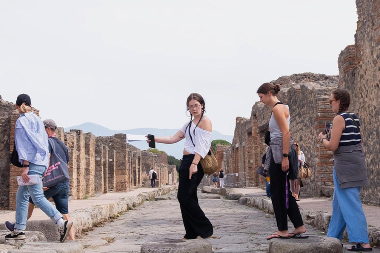 Rome: Pompeii & Amalfi Coast Day Trip, Skip-the-Line POMPEII ONLY Day Experience – No Amalfi Coast Included