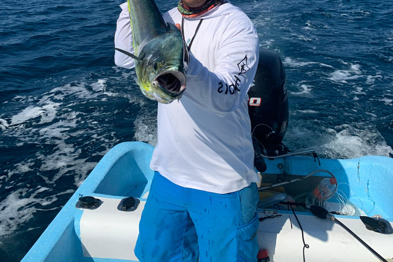 Puerto: Fishing Experience Marlin, Sailfish, Tuna or Dorado