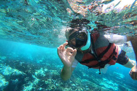 Tenerife : sortie kayak et snorkeling avec des tortues