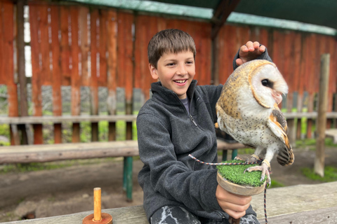 Cape Town: Stellenbosch Guided Walk with Wine Tasting