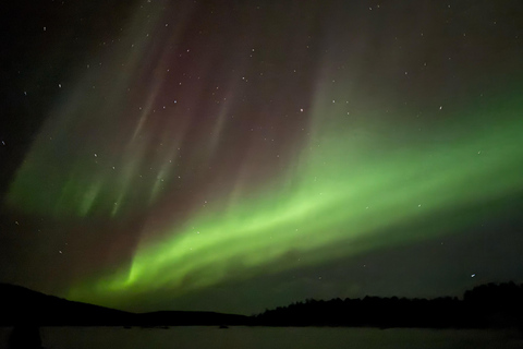 Vanuit Saariselkä/Inari: Aurora-jachttour, kampvuur en snacksVanuit Saariselkä/Inari: op jacht naar het noorderlicht, kampvuur en snacks