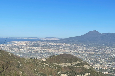 From Positano: Pompeii & Vesuvius tour small group