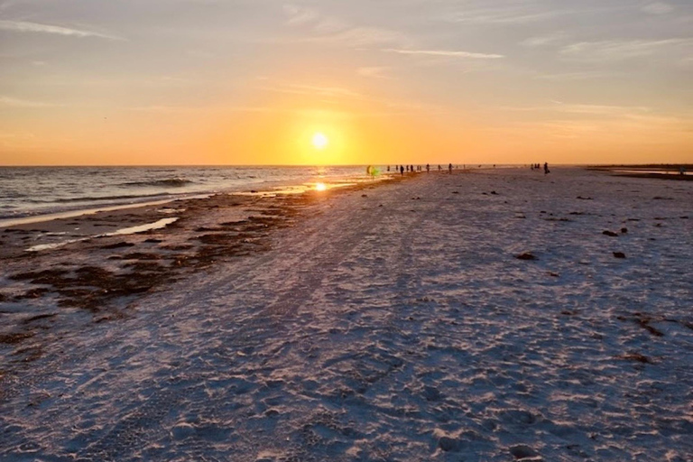 Tarpon Springs: Evening Dolphin Cruise Tarpon Springs: Sunset Dolphin Cruise with Refreshments