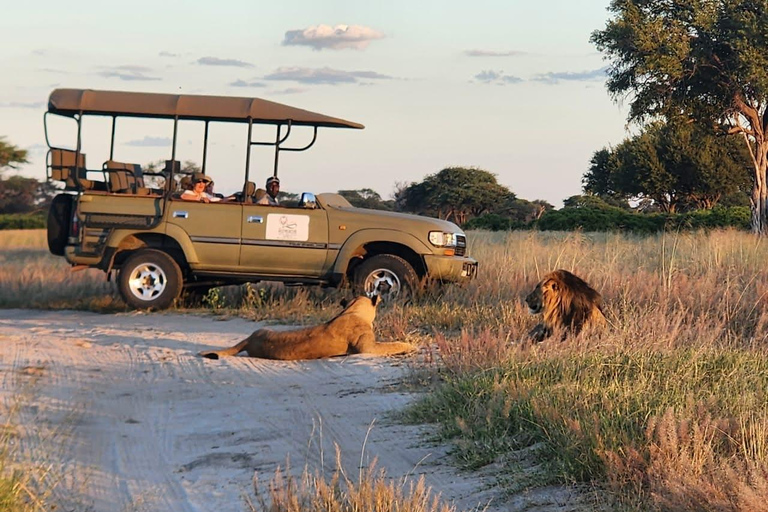 4-Day Four Countries - Zimbabwe, Zambia, Botswana & Namibia