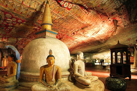 Sigiriya: Sigiriya & Dambulla Day Tour with Lunch