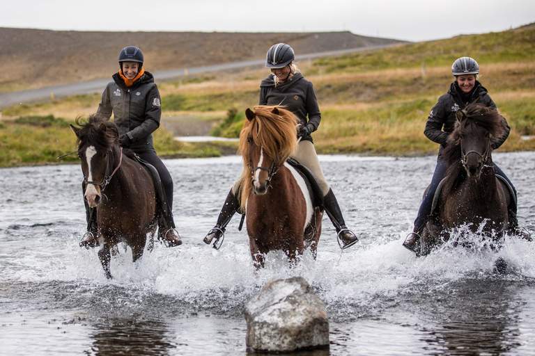 Varmahlid: Viking Horse Riding Tour