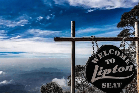 Ella: Hill Country Train Ride & Lipton’s Seat Tuk-Tuk Tour