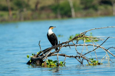 Nairobi: Horseback Safari and Lake Naivasha Boat Ride