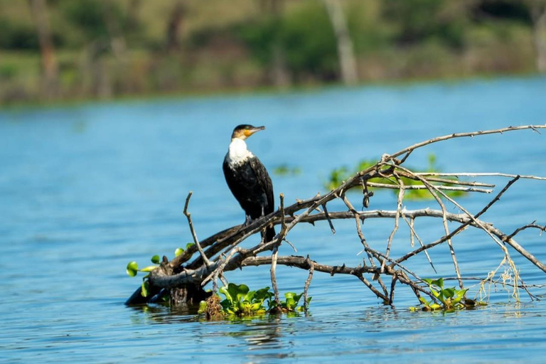 Nairobi: Horseback Safari and Lake Naivasha Boat Ride
