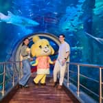 Melbourne: Biglietto d'ingresso per l'acquario SEA LIFE