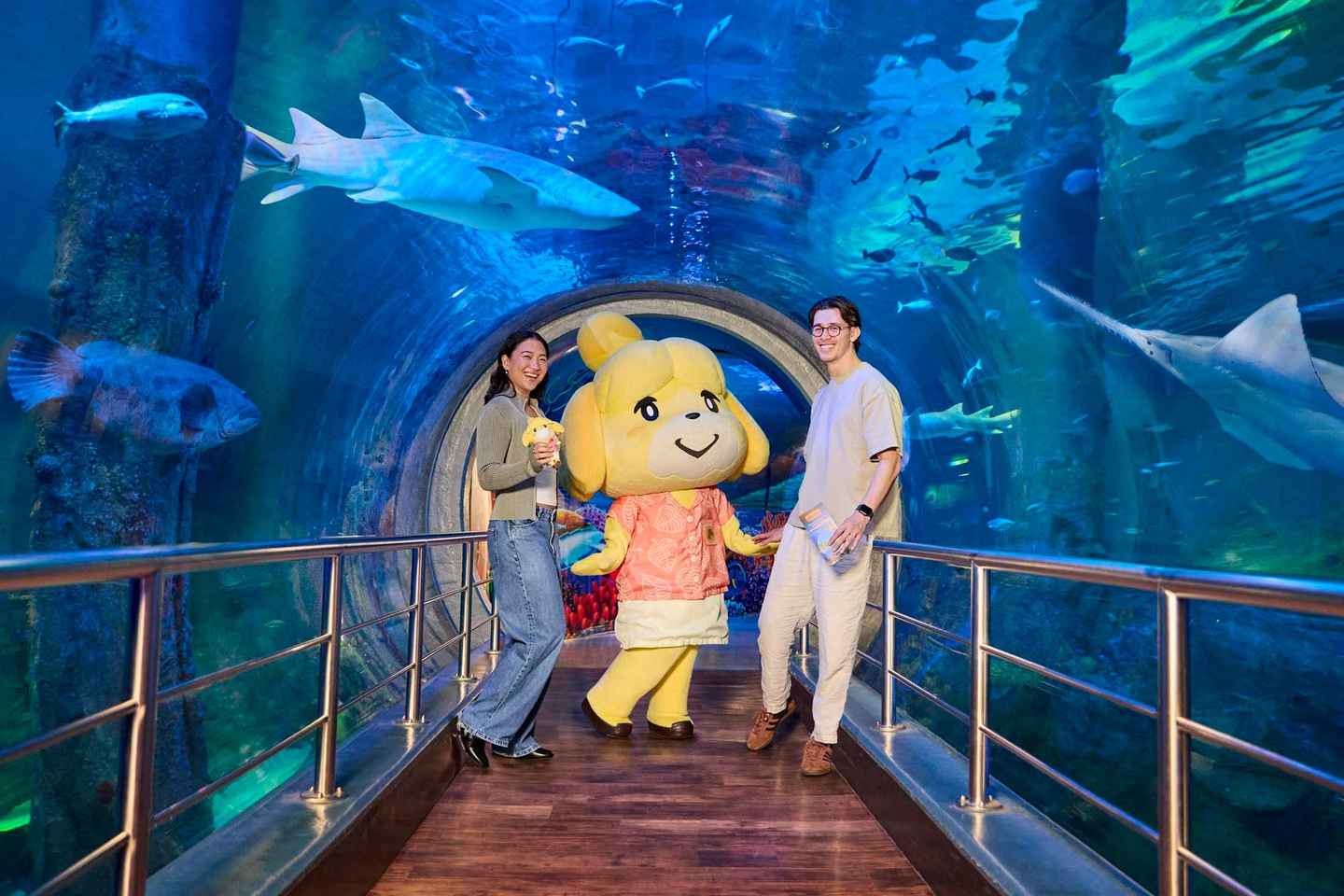 Melbourne: SEA LIFE Aquarium Entrance Ticket - General Admission - Weekday