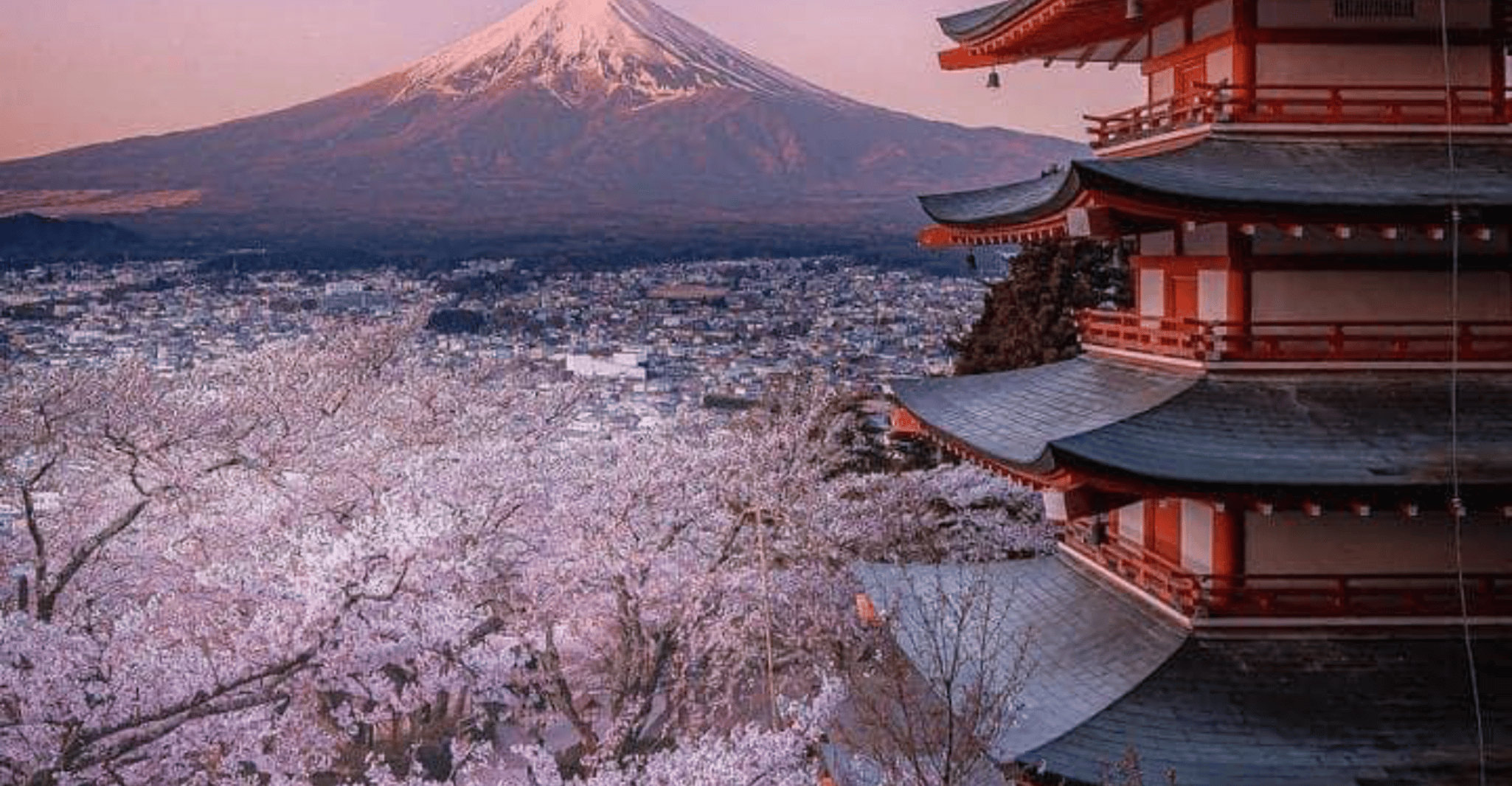 Uit Tokio, MT Fuji Hakone Owakudani Valley Privé tour - Hizvo