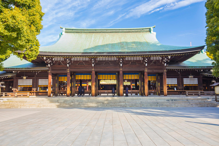 Tour panoramico privato di Tokyo con autista parlante inglese