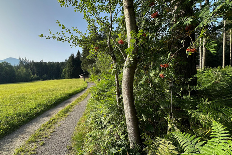 La forêt comme salle d&#039;évasion pour toute la famille