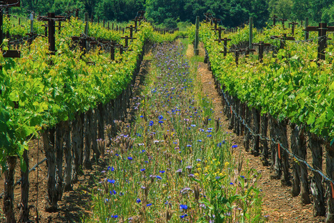 Napa Valley: Driver & Guide Service California wine country