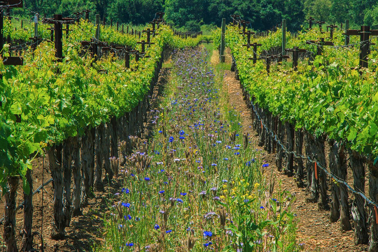 Napa Valley: Driver & Guide Service California wine country