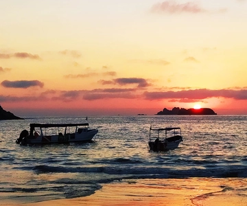 Ixtapa: Marine Life Exploration