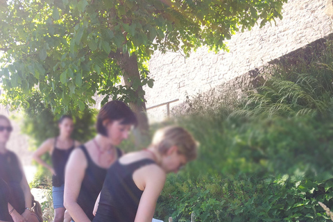 Wurtzbourg : rallye dans les vignobles avec dégustation de vins et dynamique de groupeWuerzburg : rallye dans les vignobles avec dégustation de vin et dynamique de groupe