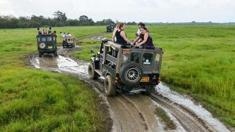 Wilpattu National park with Safari jeep & Entrance ticket
