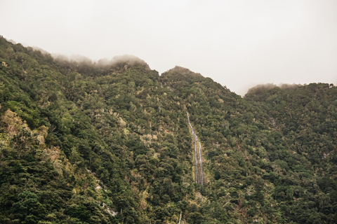 Do Funchal: Viagem de 1 dia ao oeste da Madeira e à Floresta Laurissilva