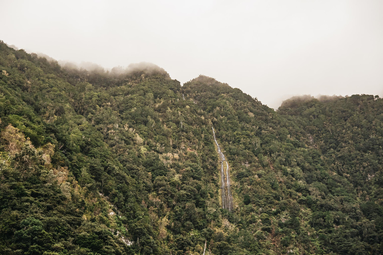 Wycieczka na zachód od MaderyMajestic Madeira Tour of the West