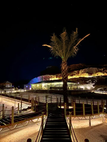 Wadi Rum: jeeptour en zarb-diner of lunch met ophaalservice