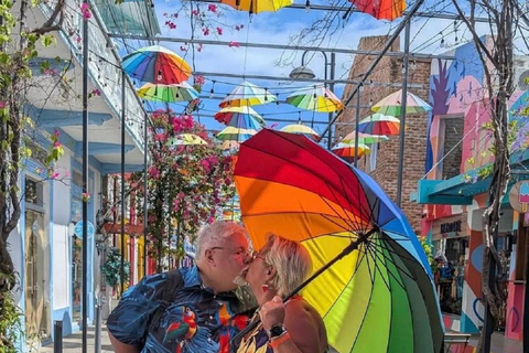 Puerto Plata: Cultural Tour & Ethical Monkey Observation