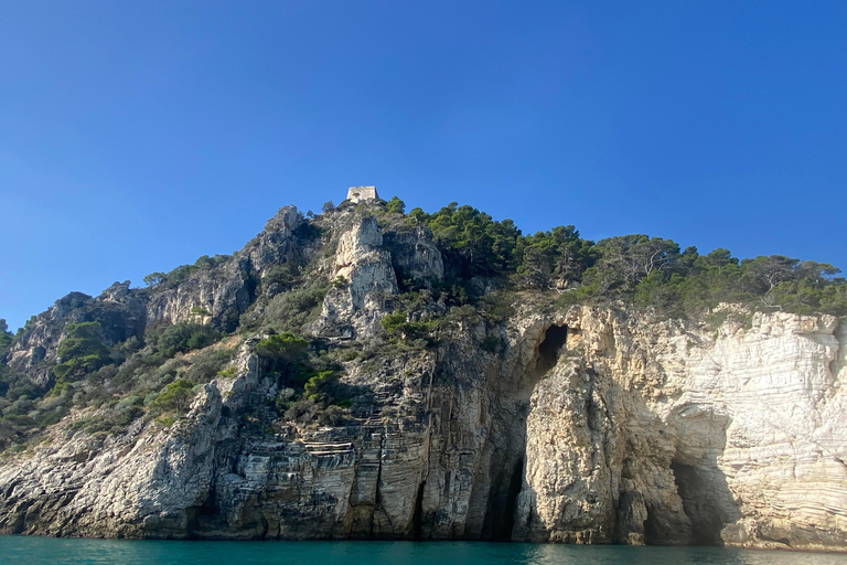 Vieste: Boat tour of the Gargano coast