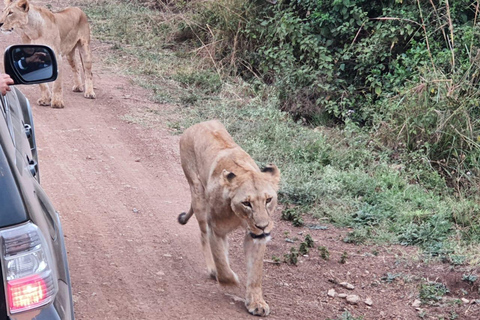 5DAYS SAFARI AMBOSELI,TSAVO WEST AND TSAVO EAST FROM NAIROBI