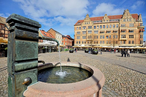 Köpenhamn: Malmö Tour på engelska