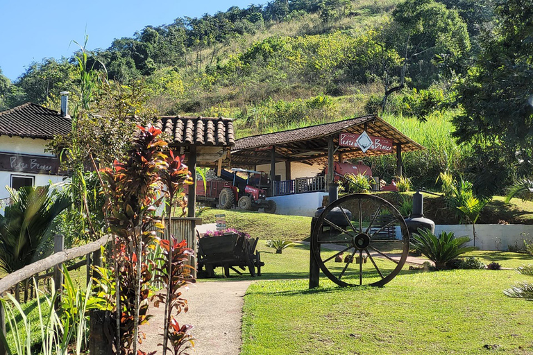 Aventure en Jeep à Paraty : sentier écologique, distillerie et baignade dans la rivièreAventure en Jeep à Paraty : parcours écologique, distillerie et baignade dans la rivièr