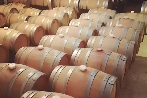 Medellin: Wine Tour in Antioquia, Flavors and unforgettable moments