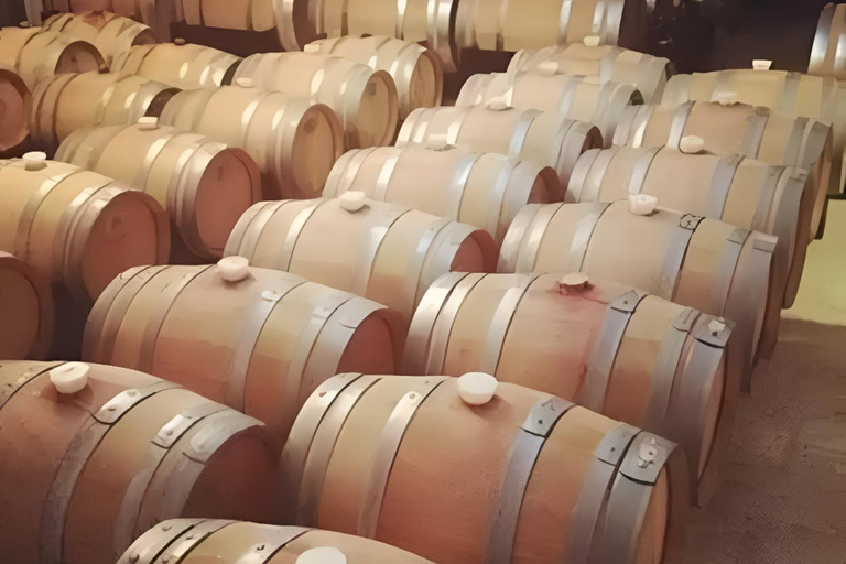 Medellin: Wine Tour in Antioquia, Flavors and unforgettable moments