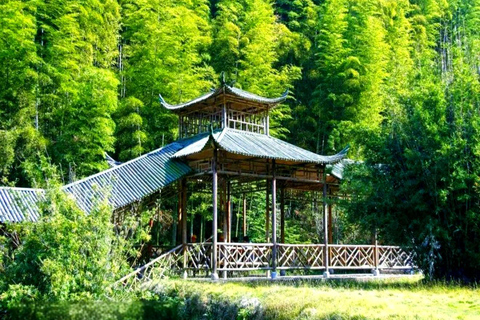 Shanghai: West Lake Hills & Tea Gardens Private Day Trip