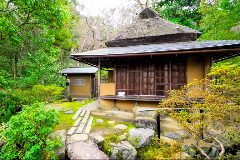 Nara: Private Car Tour of Hidden Gems & Ancient Icons