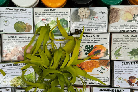 Zanzibar : excursion d'une demi-journée à la ferme aux épices et dans la forêt de Jozani