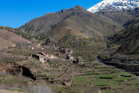 Desde Marrakech: excursión privada de un día a las montañas del Atlas